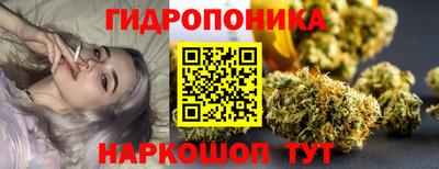 спайс Малгобек