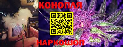 спайс Малгобек