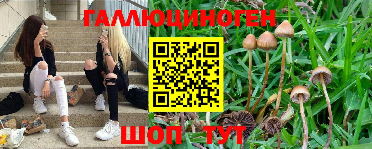 Галлюциногенные грибы прущие грибы Шебекино